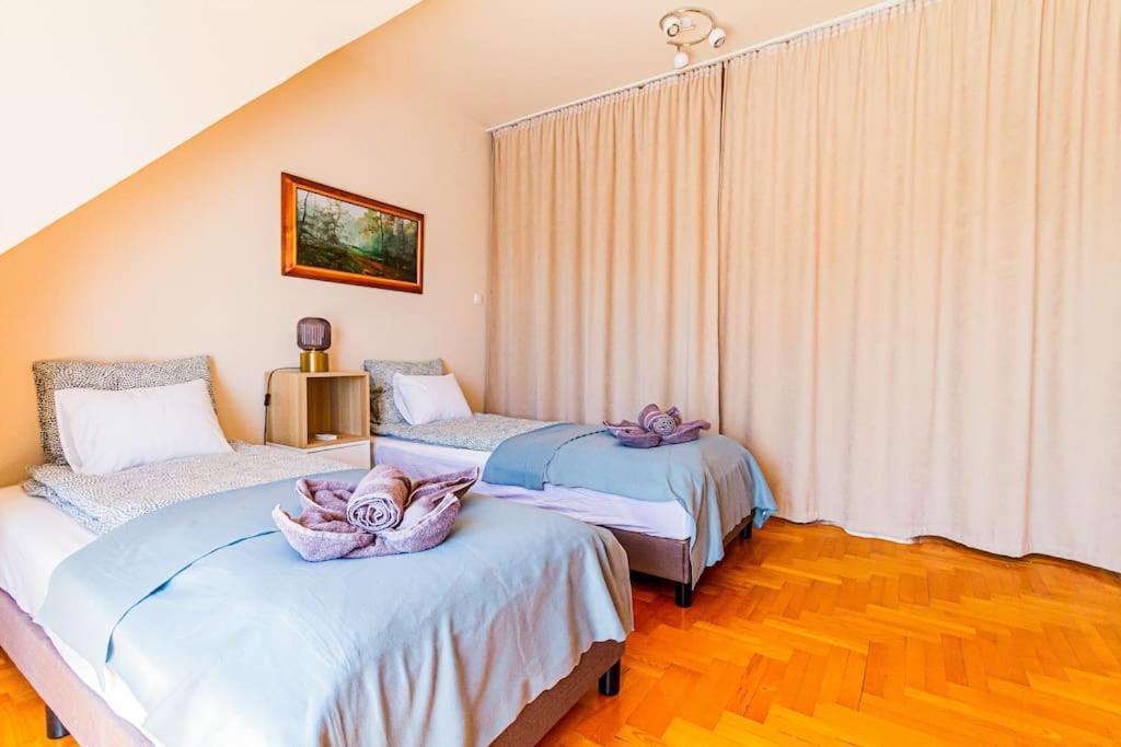 Roomy Apartment 80Sqm At City Center Free Parking Space, Ac & Balcony Budapeşte Dış mekan fotoğraf